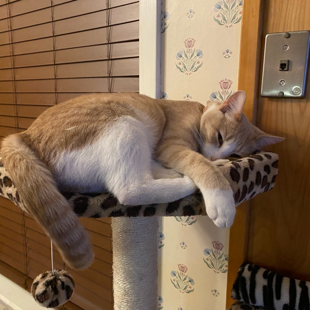 Meet your Posher, Debra